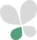 Green and grey butterfly icon