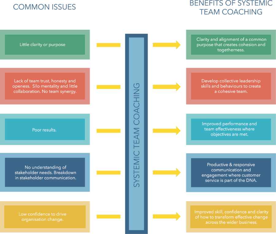 Systemic team coaching model