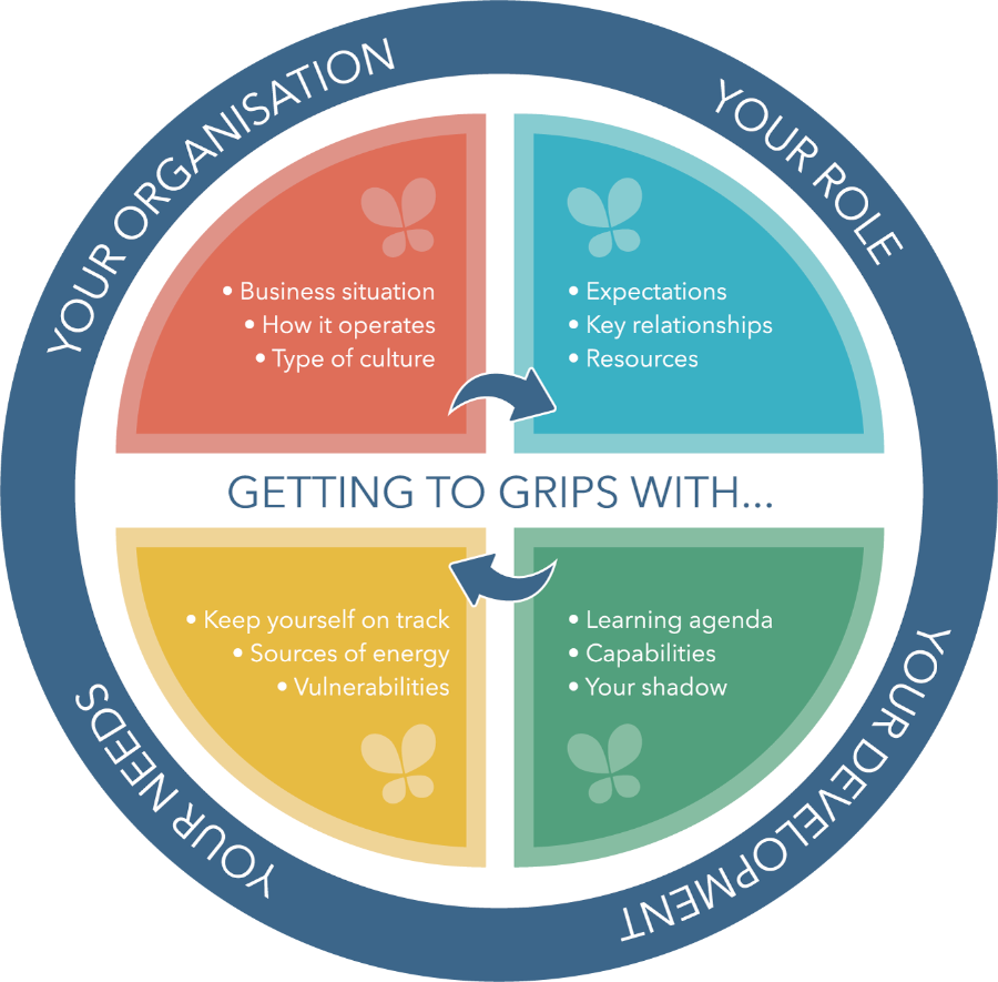 Transition coaching model